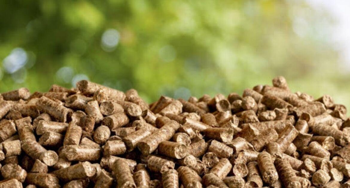 caldaia a biomassa come funziona