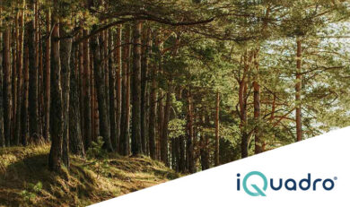 progetto foresta iquadro